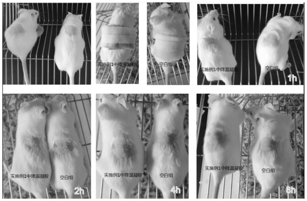 一种降温组合物、功能型降温贴及其制备方法