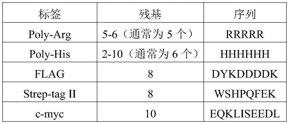 一种定点突变创制矮化黄瓜种质的方法