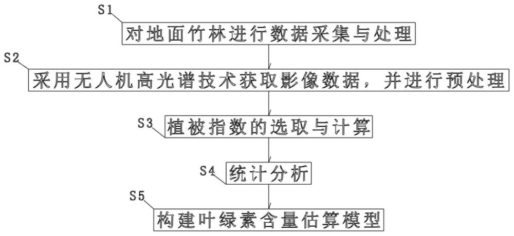 基于无人机高光谱技术的竹林冠层叶绿素含量估算方法