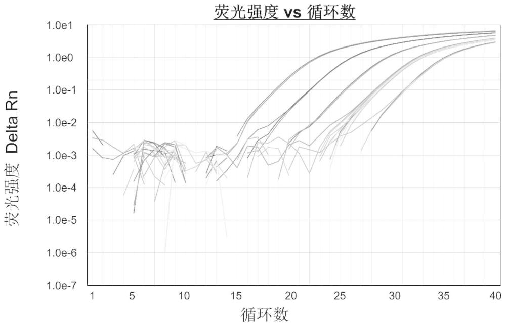 一种检测玉米夜蛾HzNV-1病毒的引物和探针组合及其应用的制作方法