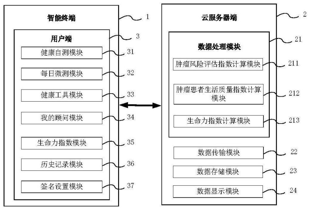 一种用于肿瘤防控的生命力指数的评估系统