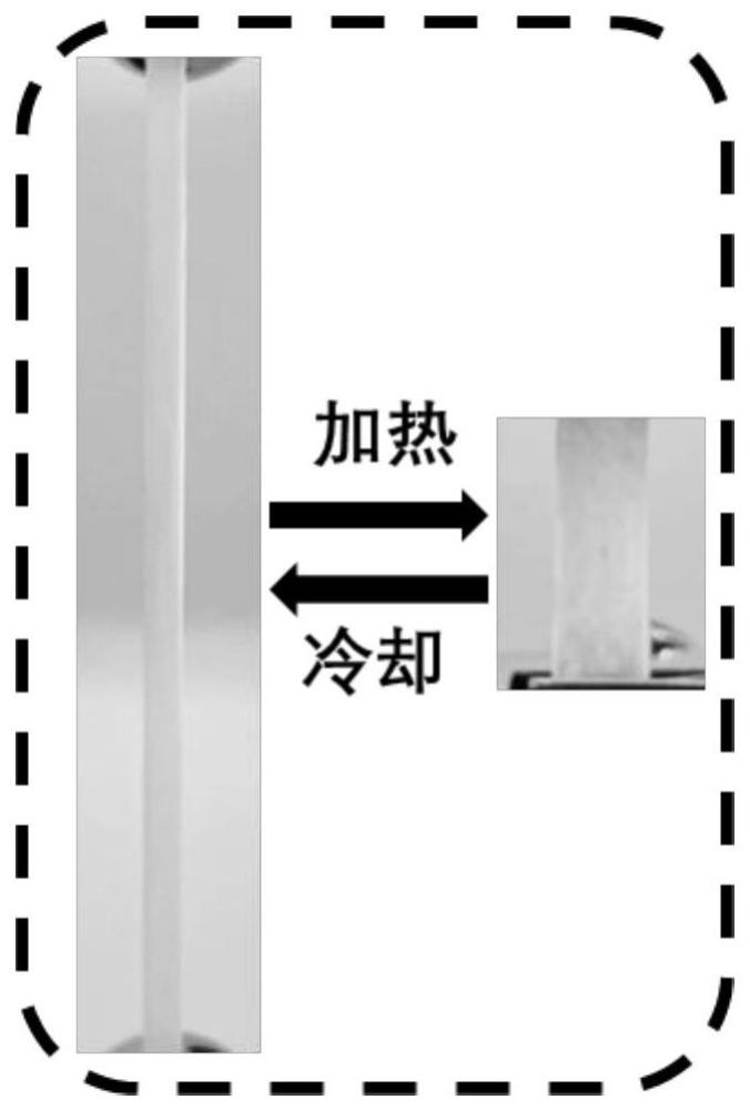 一种多重响应性液晶弹性体复合膜及其制备方法和应用