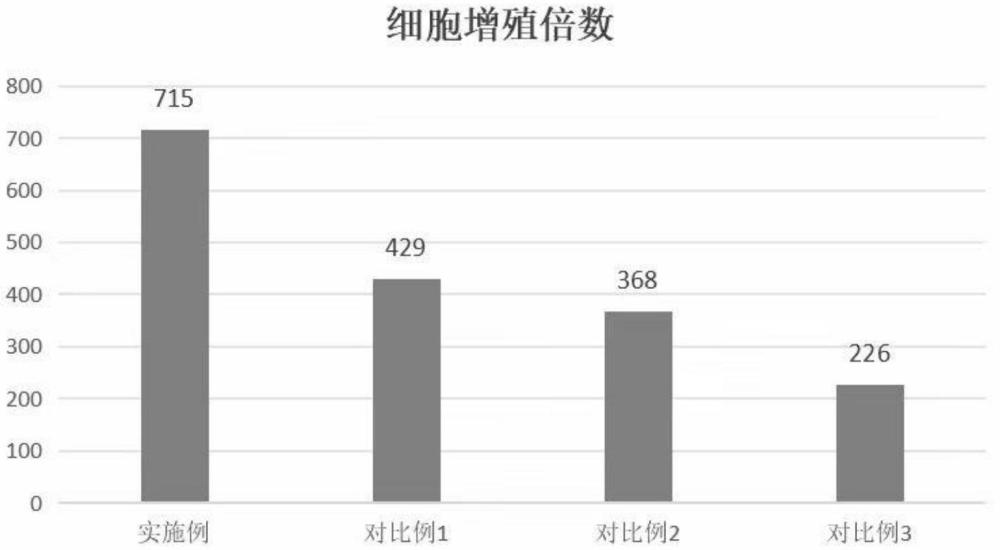 一种提高细胞增殖倍数的外周血自体NK细胞培养基以及体外培养方法与流程