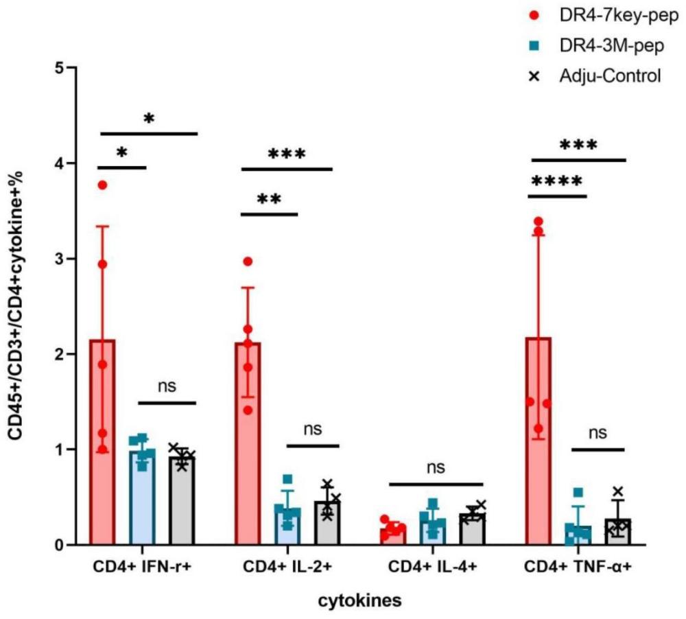 新型冠状病毒奥密克戎系列变异株Ii-key T细胞多肽及其应用的制作方法