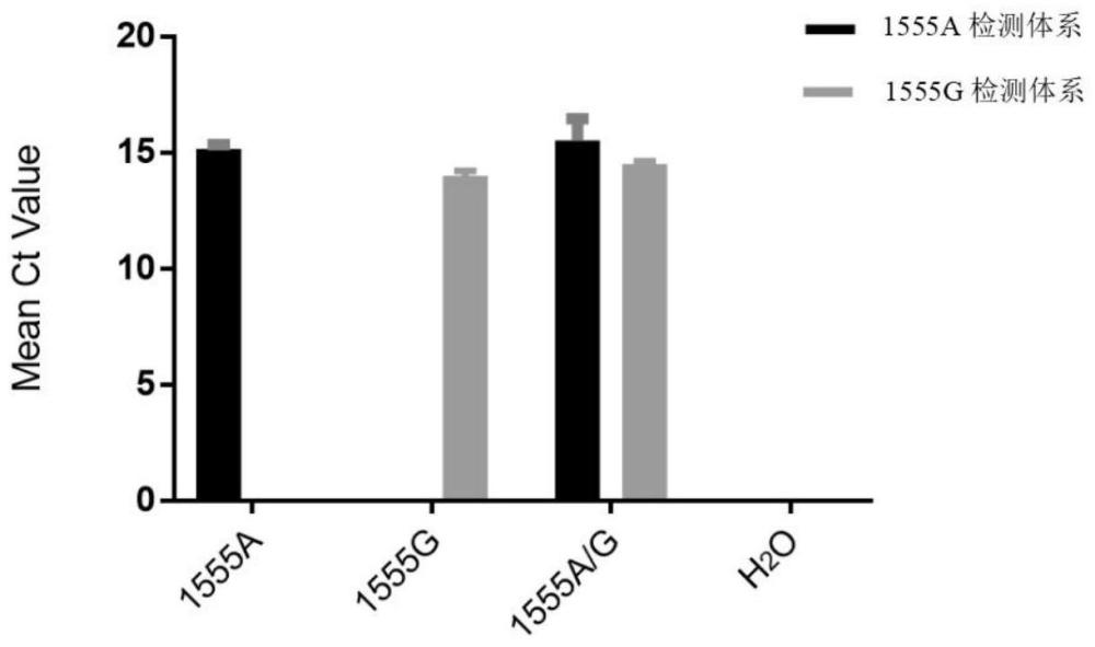 一种基于RNase HⅡ酶依赖-锁核酸-阻滞探针-环介导恒温扩增的单核苷酸多态性等温分型方法