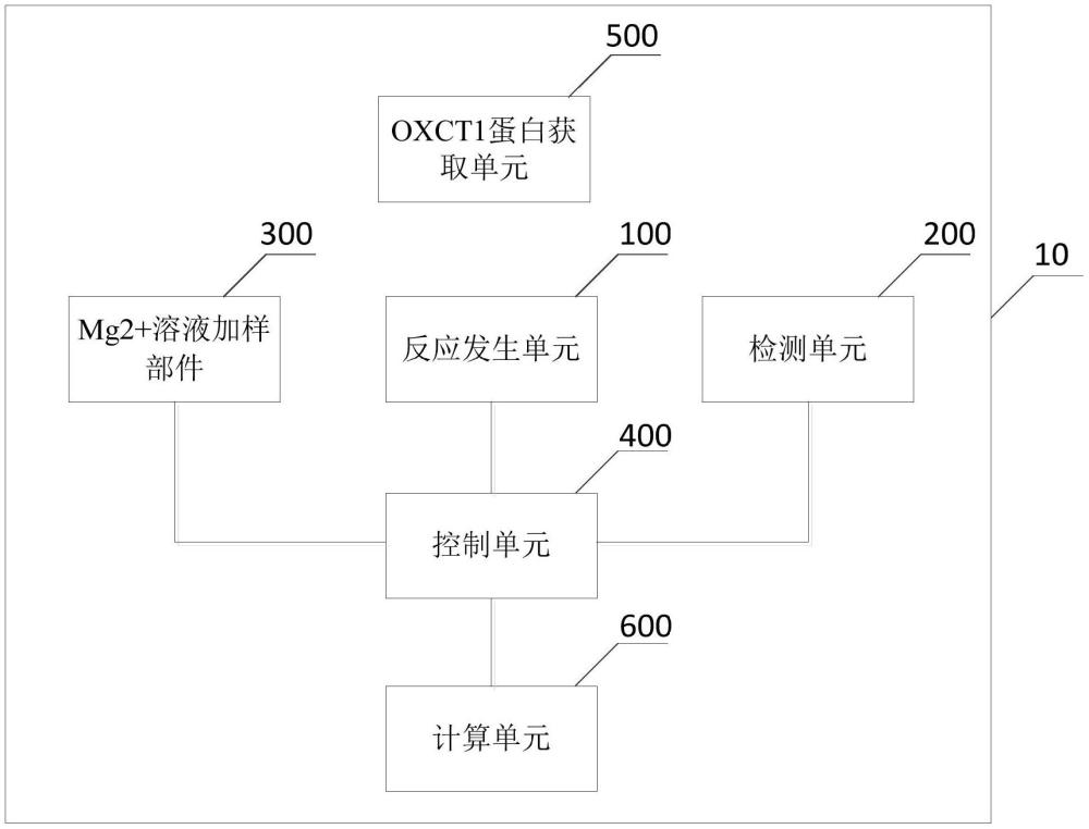 一种OXCT1蛋白酮体分解酶活性检测和筛选系统的制作方法