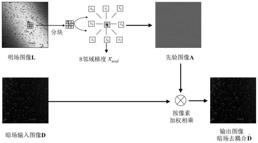 一种暗场共焦显微图像反射信息去耦合方法