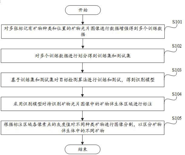 矿物伴生体识别方法与系统、存储介质和设备