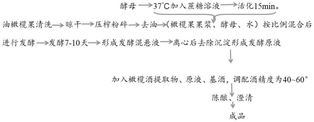 一种功能性橄榄酒的制作方法与流程