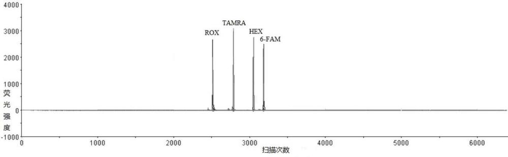 一种四色荧光光谱校准试剂及其制备方法与应用与流程