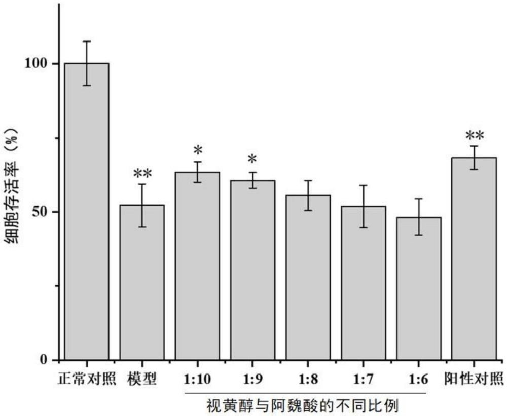 视黄醇和阿魏酸用于增强抗光老化的用途的制作方法