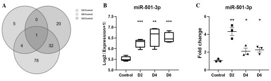miR-501-3p抑制剂或miR-501-3p拮抗剂在制备促进口腔黏膜创伤愈合药物方面的应用