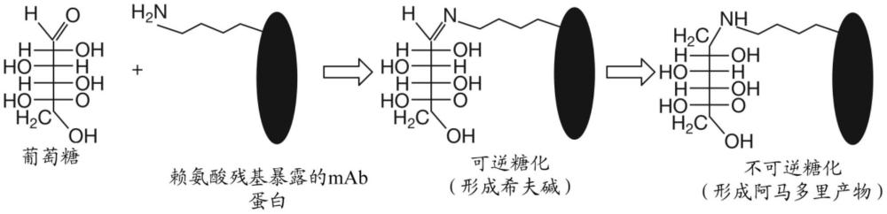 用于生物反应器糖化物质制造的多参数材料、方法和系统与流程