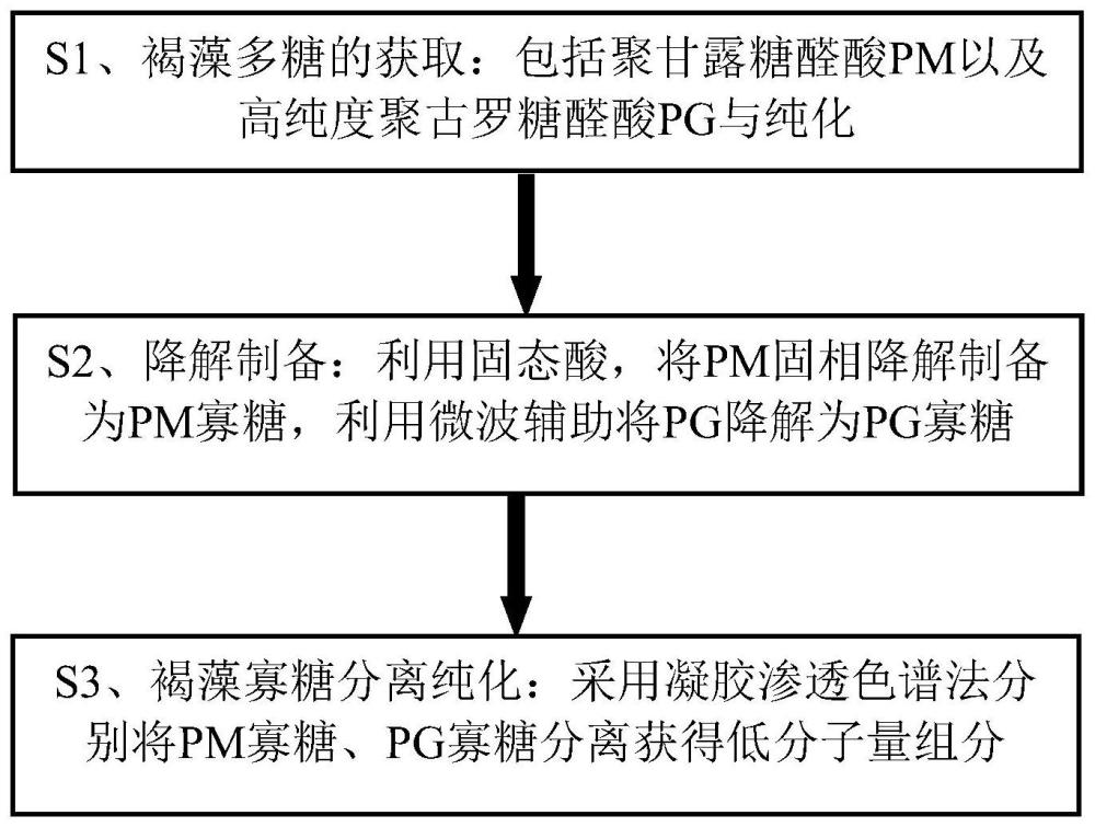 一种高纯度褐藻寡糖及其制备方法、应用与流程