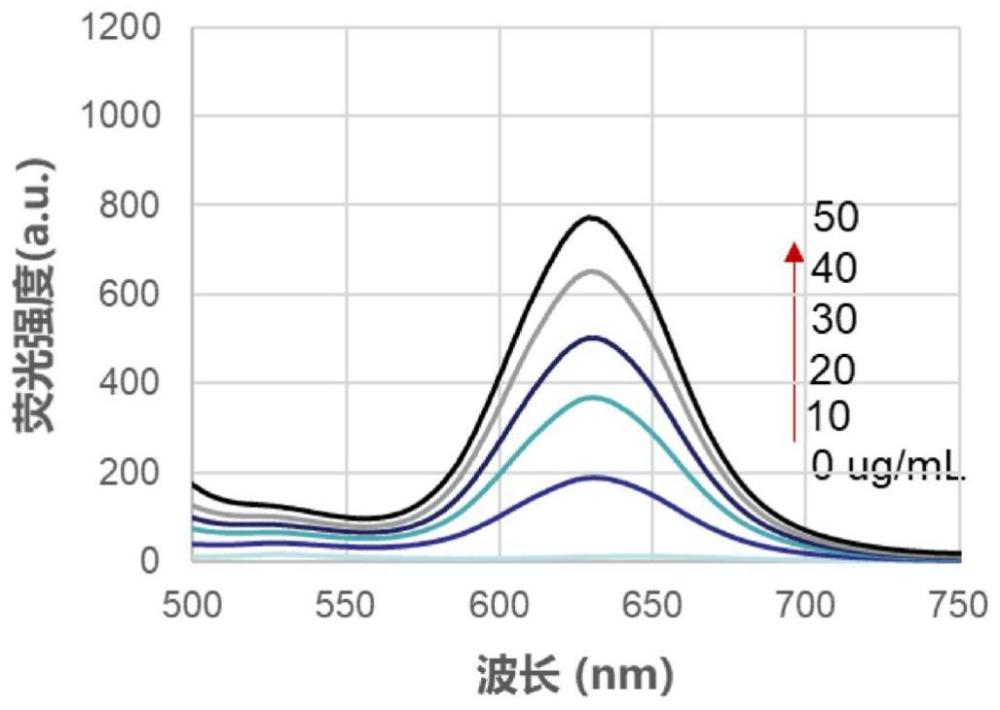 花菁染料、其制备方法及其用途与流程