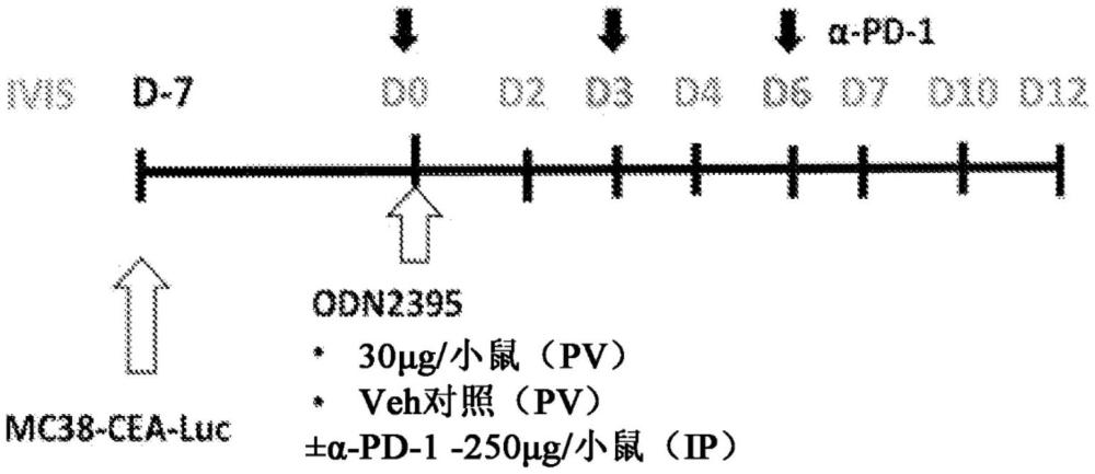 使用检查点抑制剂的癌症疗法的制作方法