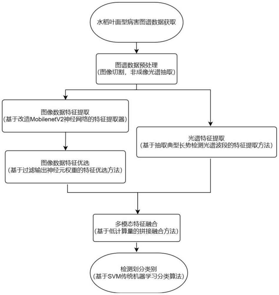 适于边缘计算场景的水稻叶面型病害多模态融合检测方法