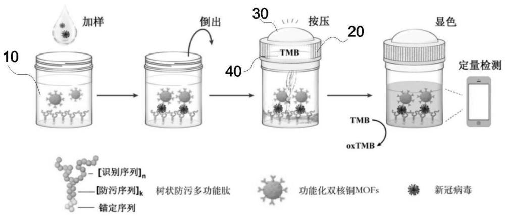 一种病原体超敏高特异性自检试剂装置