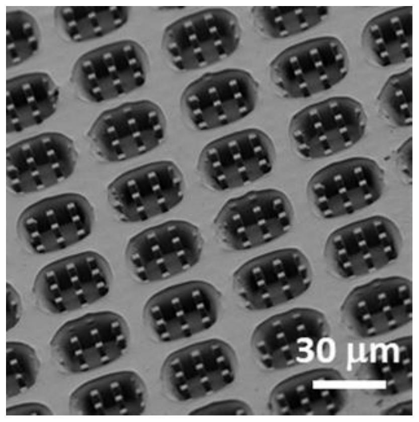 一种含拓扑形貌阵列表面的器件及其制备方法与应用