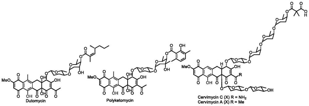 一种C4位氧糖苷四环素化合物及其合成方法与流程