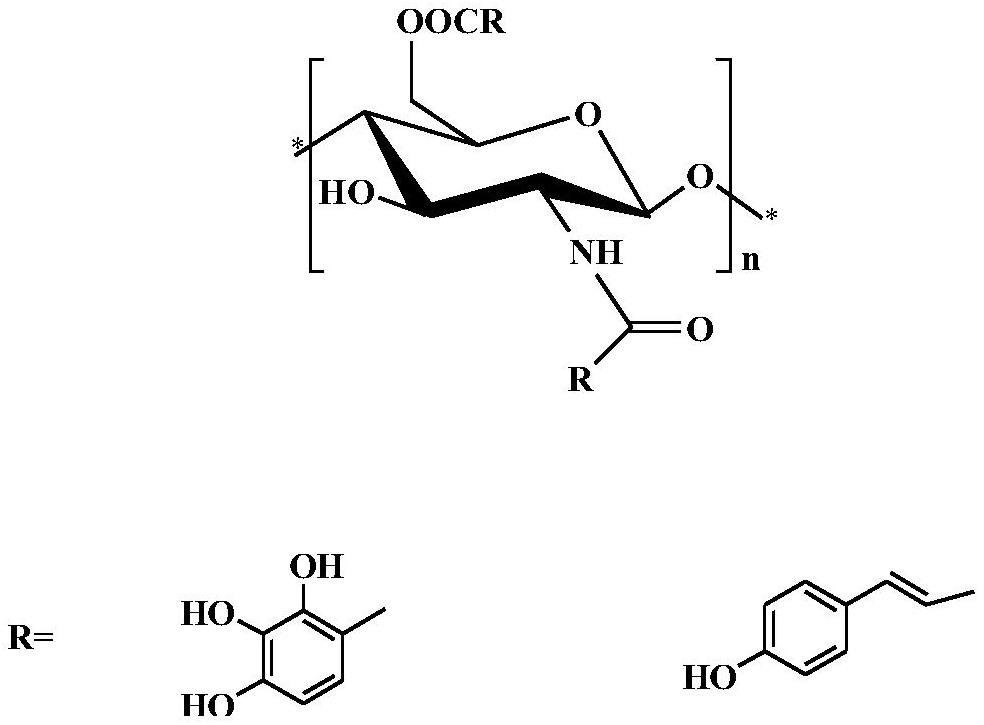 一种壳寡糖酚酸衍生物及其制备方法和应用