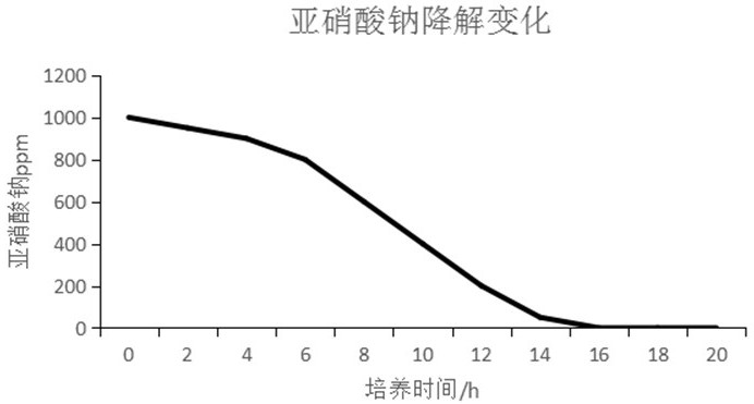 一种产亚硝酸盐氧化还原酶的枯草芽孢杆菌及其应用的制作方法