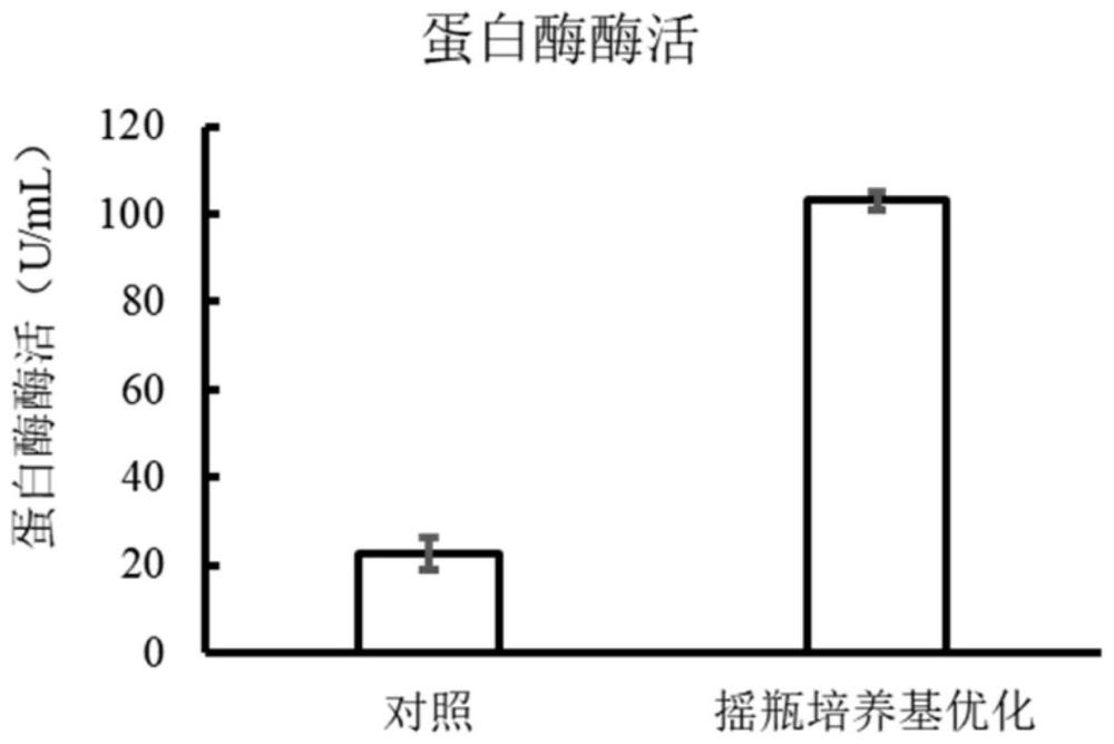 一种胰蛋白酶GM2938的发酵、分离、纯化的方法及其应用与流程