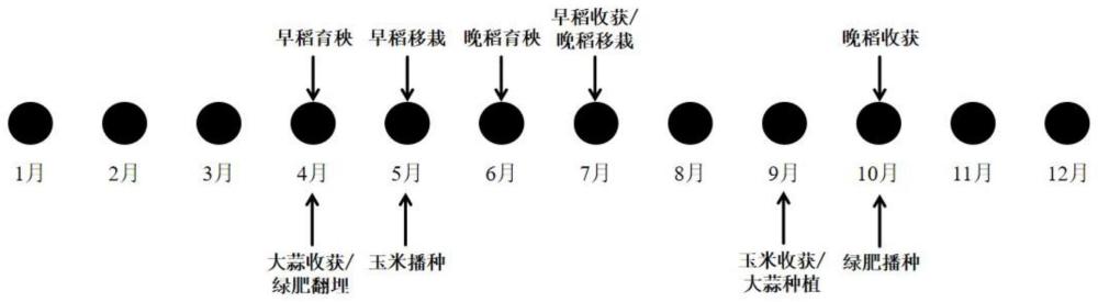 一种丝苗米水稻病虫害生态防控技术的制作方法