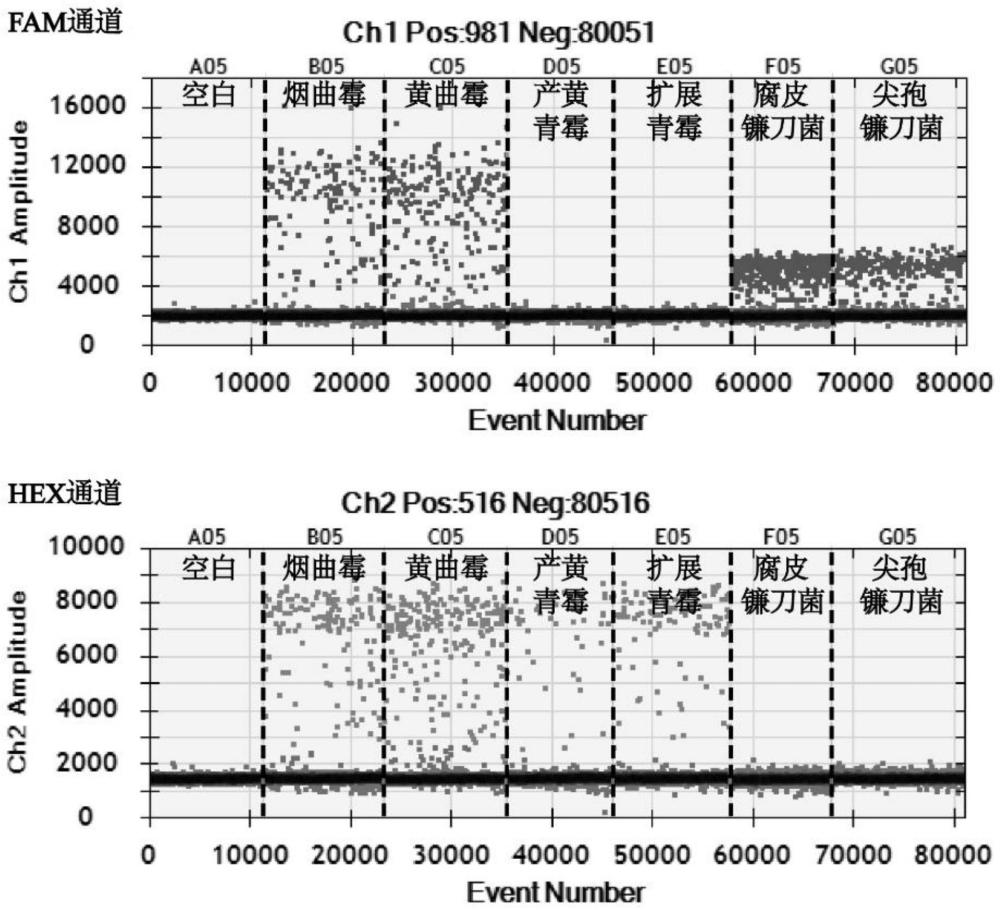 一种基于微滴数字PCR技术检测曲霉、青霉和镰刀菌的引物探针组合及应用的制作方法