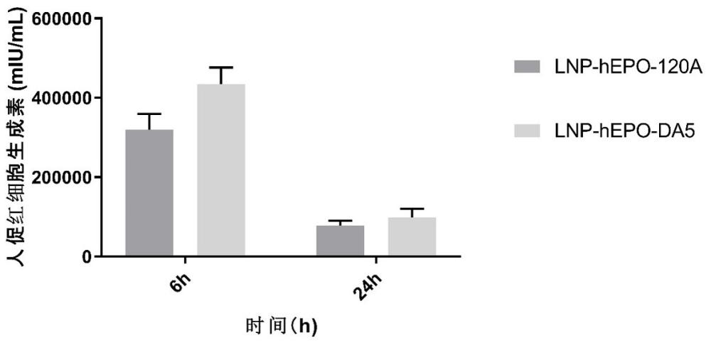 一种优化的polyA序列及其应用的制作方法