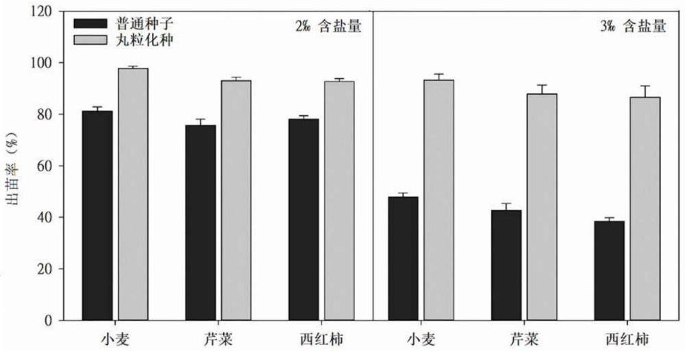 一种含复合层次保苗壮苗的丸粒化种及其制备方法