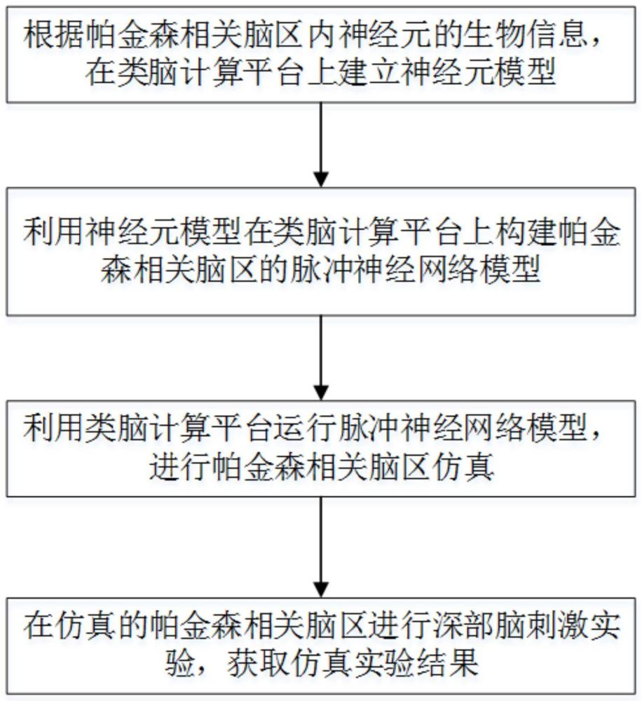 一种帕金森相关脑区的仿真实验方法及装置与流程