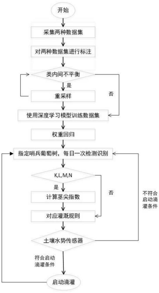 一种葡萄园智能灌溉方法