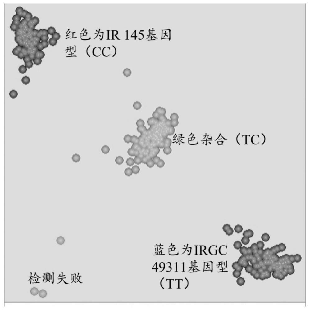 一种鉴定水稻中胚轴长度的分子标记及其应用