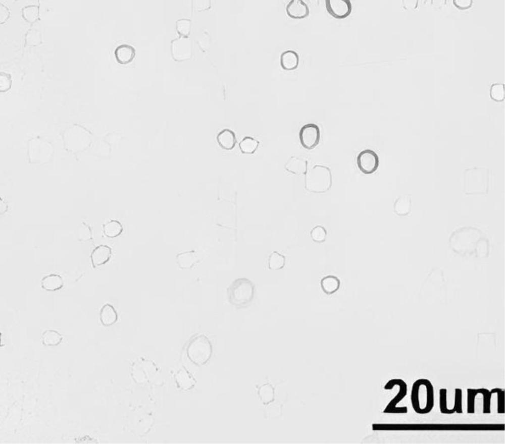 一种纳米纤维素基可食用保鲜液、其制备方法及使用方法与流程