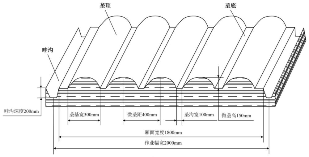 一种适用于微垄播种方式的油菜高速气送集排器分配装置