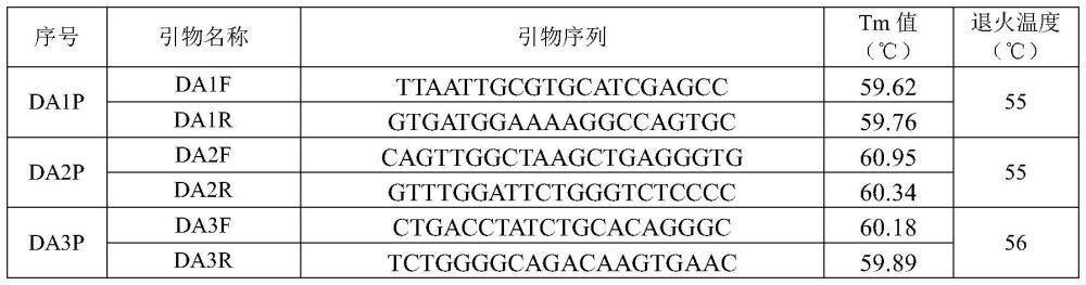 用于鉴定定安鹅品种的SNP位点组合及其鉴定方法与流程