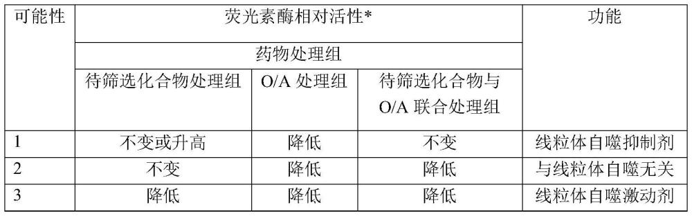 一种靶向线粒体自噬的化合物高通量筛选方法