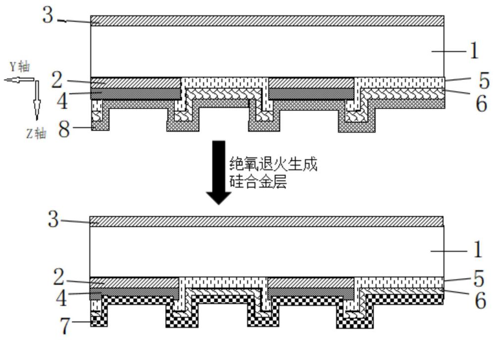 一种背接触电池及其制备方法和电池组件与流程