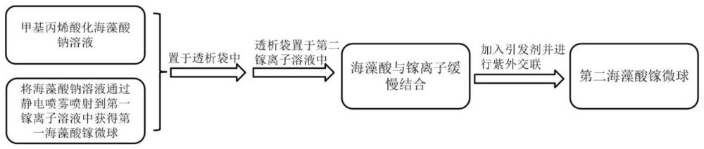 海藻酸镓微球及其制备方法、应用、药物载体