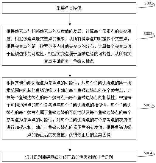 一种基于图像特征分析的鱼类类别检测方法与流程