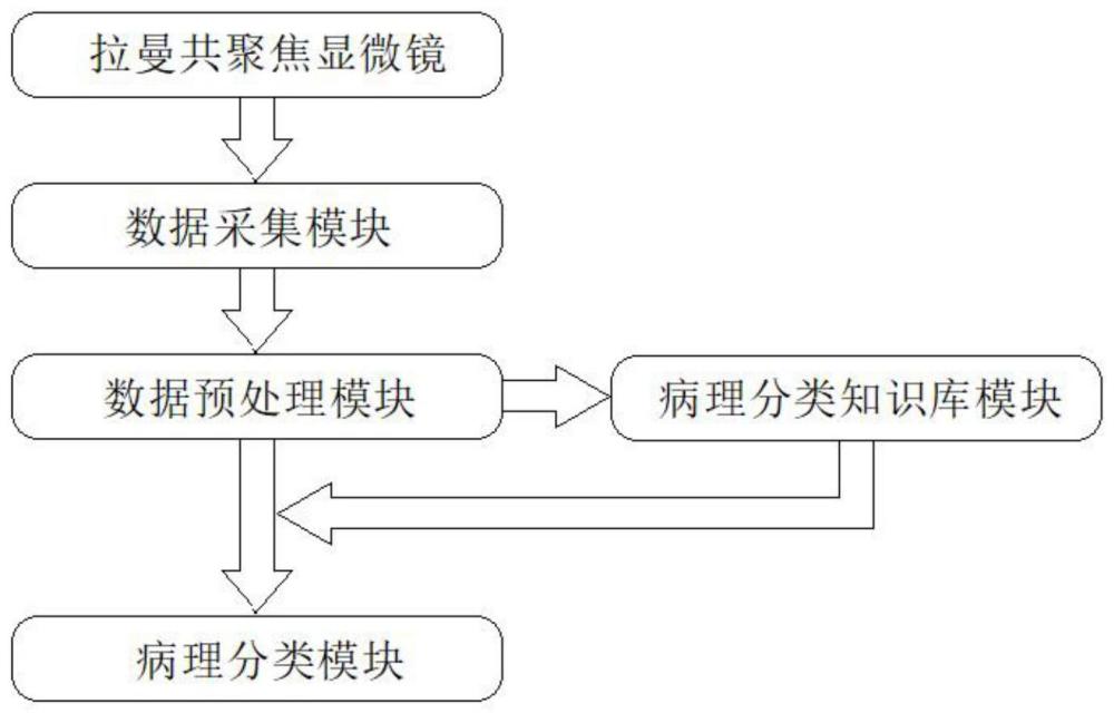 基于拉曼光谱的乳腺癌和癌旁分类系统及知识库构建方法