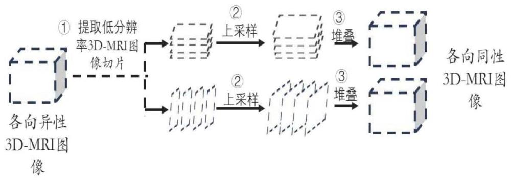 基于网络架构搜索的轻量级3D-MRI图像超分辨率重建算法