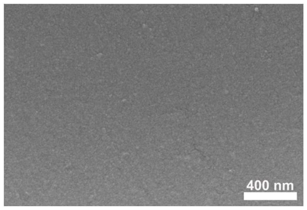 一种易加工与可降解的生物基塑料及其绿色制备方法