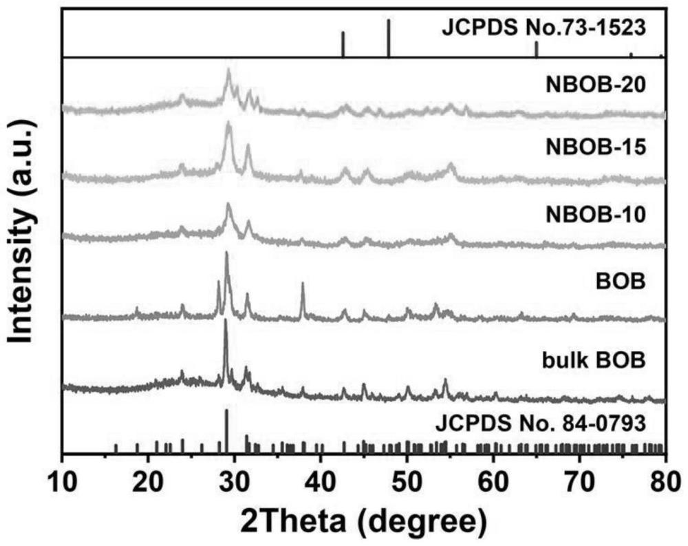 一种NiO负载Bi3O4Br纳米片复合光催化剂的制备方法及应用