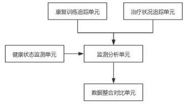 一种基于数据分析的肿瘤患者康复监测系统的制作方法