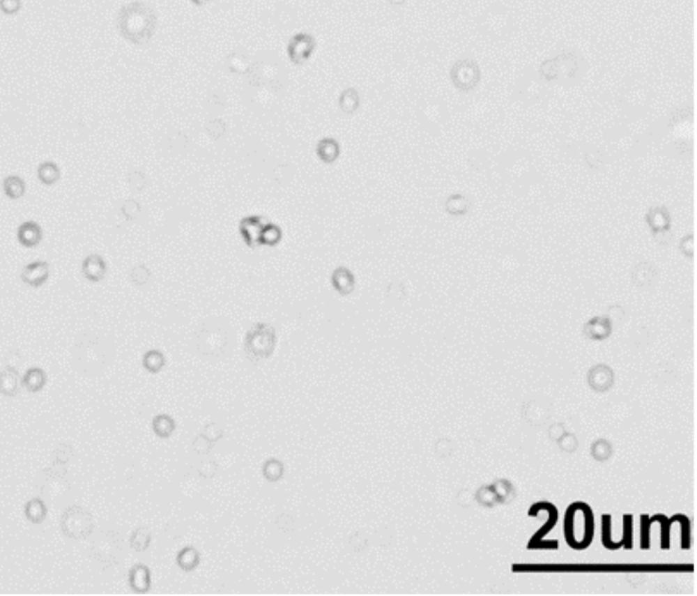 一种用于果蔬低温冷藏保鲜的可食用复合保鲜液、其制备方法及使用方法与流程