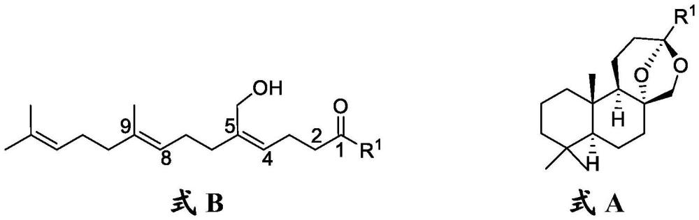 制备金合欢烯的环氧化物衍生物的方法及其在进一步合成中的用途与流程