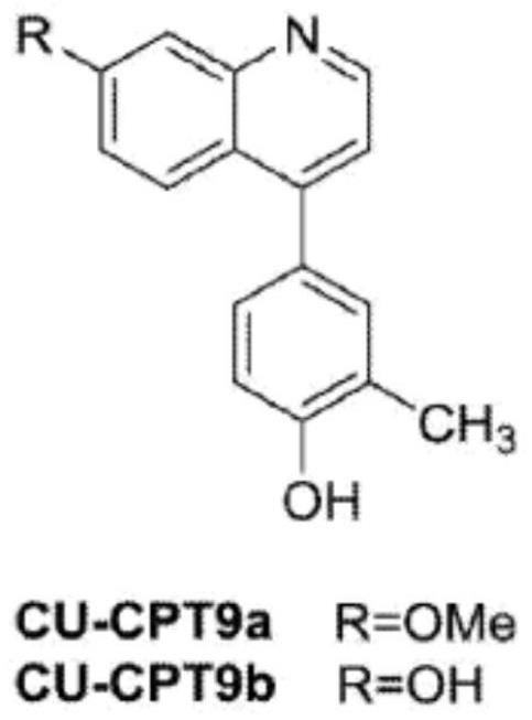 TOLL样受体8（TLR8）特异性拮抗剂及其制备方法和用途