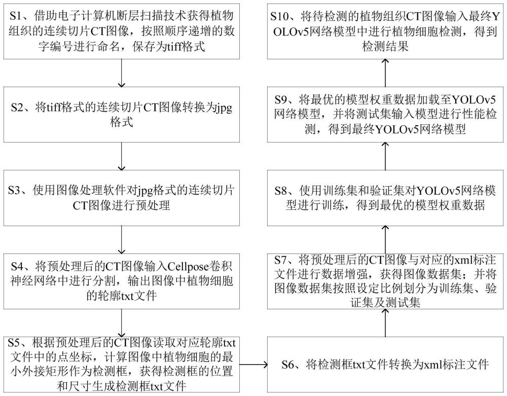 一种基于深度学习的植物细胞检测方法